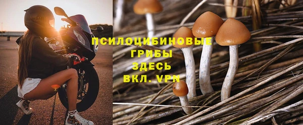 бошки Алзамай