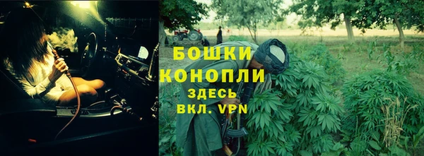 бошки Алзамай