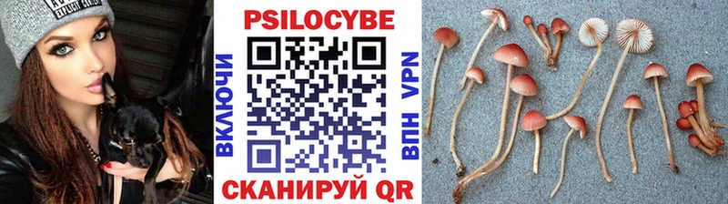 Псилоцибиновые грибы мухоморы  сколько стоит  Нестеров 